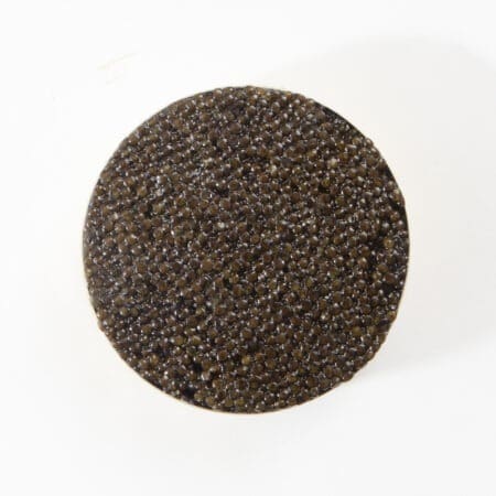 American Osetra sturgeon caviar for sale