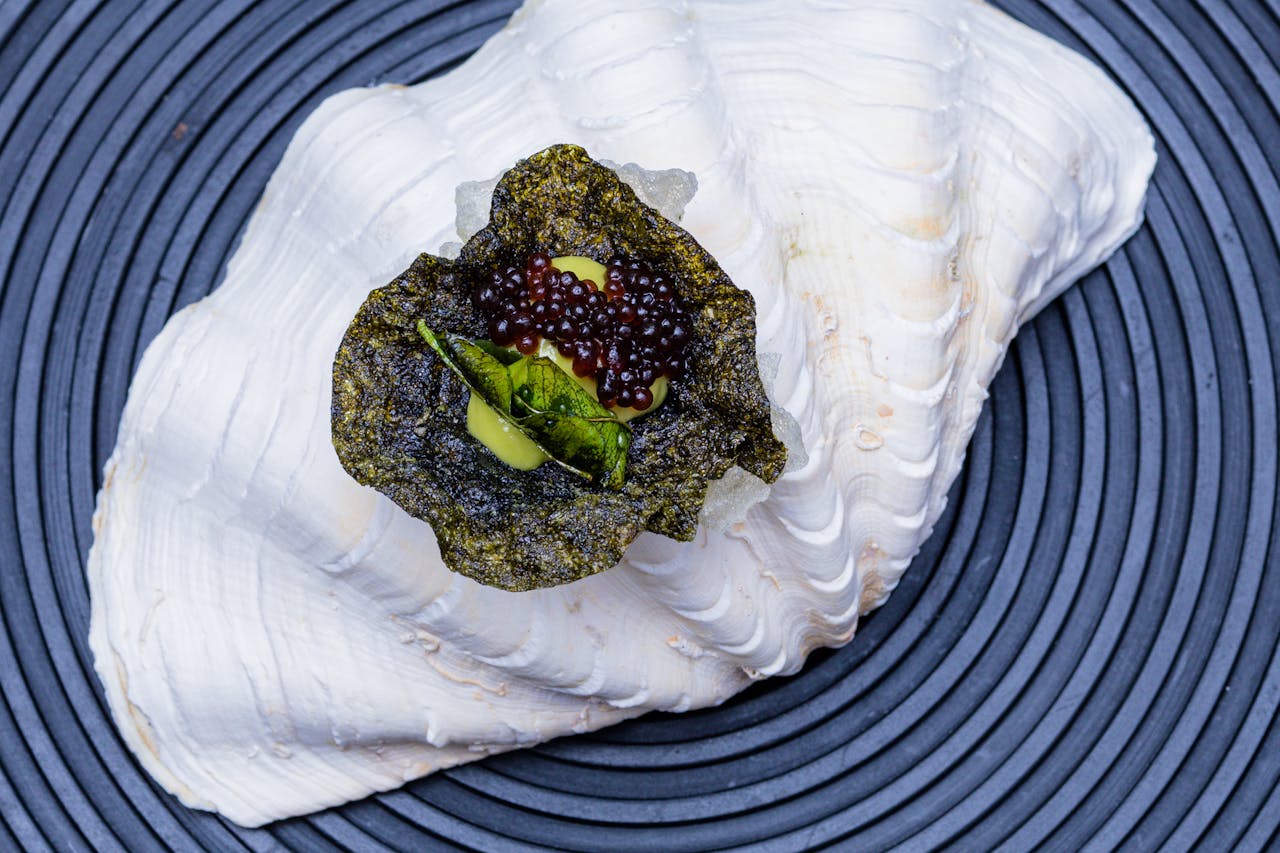 gourmet caviar appetizer sitting on white shell
