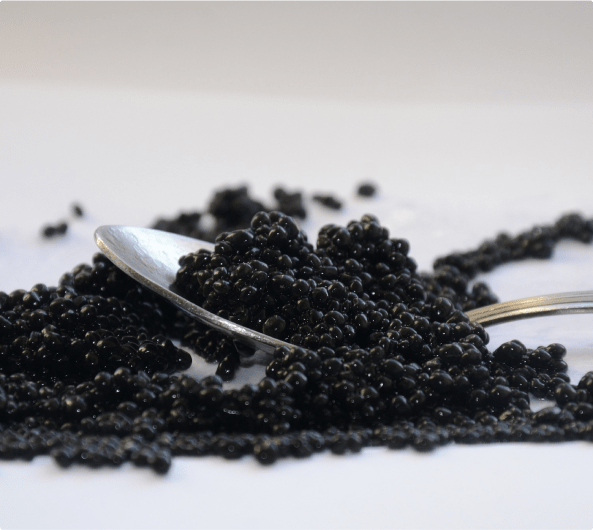 scattered black caviar on spoon