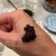 A dollop of caviar on the back of a person’s hand